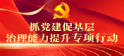 抓黨建促基層治理能力提升專項行動