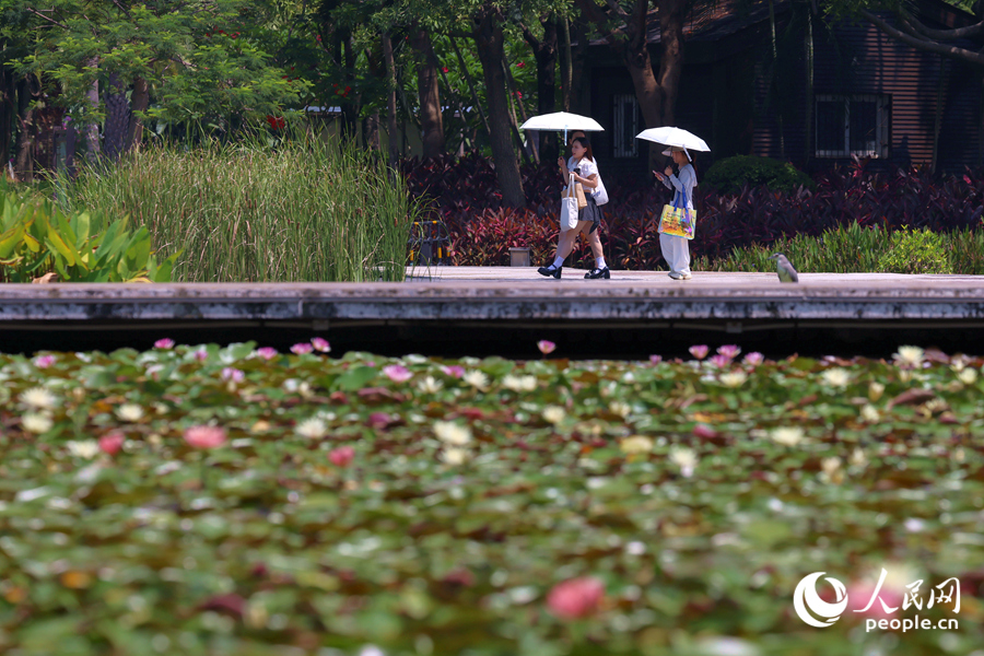 市民游客漫步于蓮池廊道。人民網(wǎng)記者 陳博攝