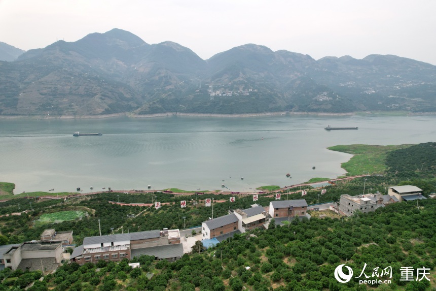 三沱村正以“三峽橙莊”建設(shè)為契機，描繪鄉(xiāng)村振興新圖景。人民網(wǎng)記者 劉政寧攝