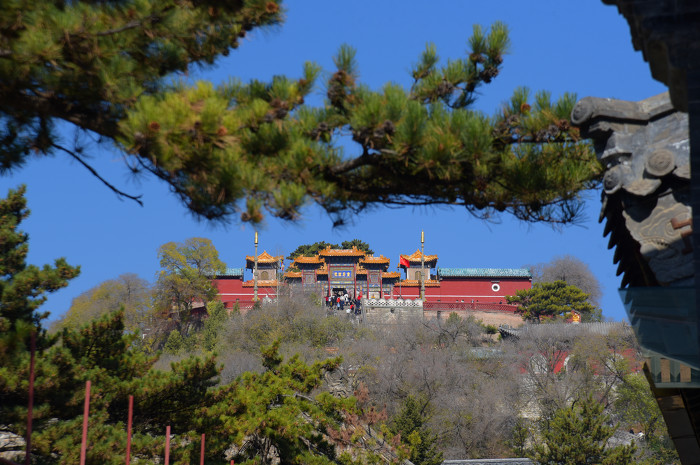 秋日五臺山醉游人-37153.jpg 秋日五臺山醉游人-37153.jpg