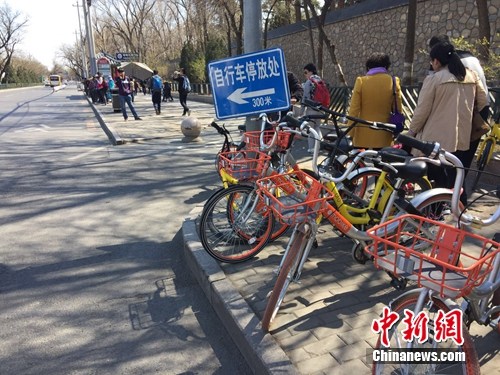 共享單車越來(lái)越多，出現(xiàn)在大街小巷。<a target='_blank'  _fcksavedurl='http://www.chinanews.com/' ></table>中新網(wǎng)</a> 吳濤 攝