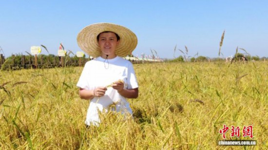 全國(guó)人大代表、寧安市渤海鎮(zhèn)上官地村黨支部書記、村委會(huì)主任陳雨佳在稻田中。 受訪者供圖