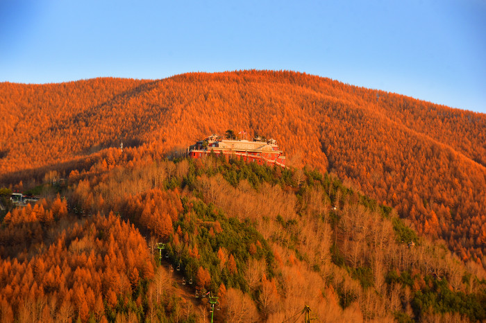 秋日五臺山醉游人-37149.jpg 秋日五臺山醉游人-37149.jpg